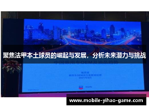 聚焦法甲本土球员的崛起与发展，分析未来潜力与挑战