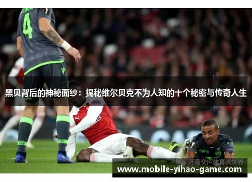 黑贝背后的神秘面纱:揭秘维尔贝克不为人知的十个秘密与传奇人生 黑贝背后的神秘面纱:揭秘维尔贝克不为人知的十个秘密与传奇人生