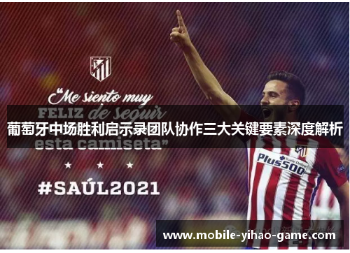 葡萄牙中场胜利启示录团队协作三大关键要素深度解析 葡萄牙中场胜利启示录团队协作三大关键要素深度解析
