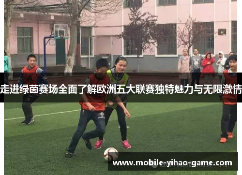 走进绿茵赛场全面了解欧洲五大联赛独特魅力与无限激情